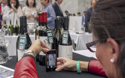 6 vinos de la D.O. Ycoden-Daute-Isora, seleccionados para el Salón de los Mejores Vinos de España