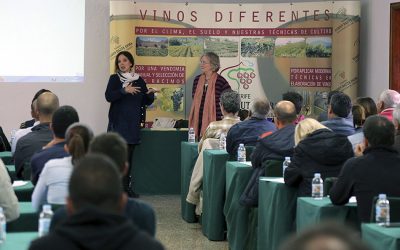 Interesante curso sobre viticultura biodinámica promovido por Ycoden Daute Isora