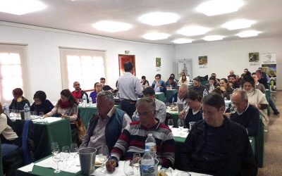 TALLER DE RECONOCIMIENTO DE VARIEDADES DE UVAS BLANCAS DE CANARIAS