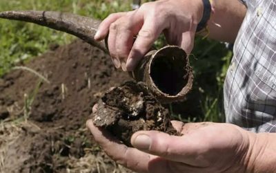 La Agricultura Ecológica aplicada al Viñedo y al Vino, primer curso formativo del Campus del Vino 2018