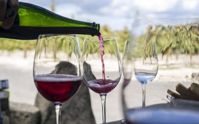 El Campus del Vino impartirá un Curso de Sumiller de 190 horas con docentes de primer nivel