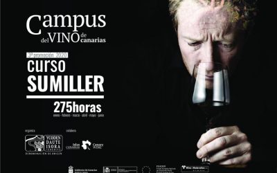 El Campus del Vino de Canarias retoma las actividades formativas de la III Promoción del Curso de Sumiller