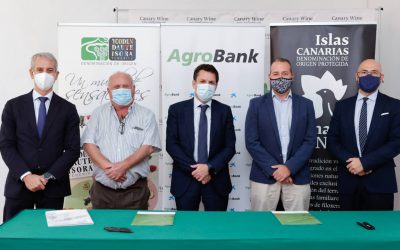CaixaBank y la DO Ycoden Daute Isora suscriben un acuerdo para potenciar la actividad vitivinícola